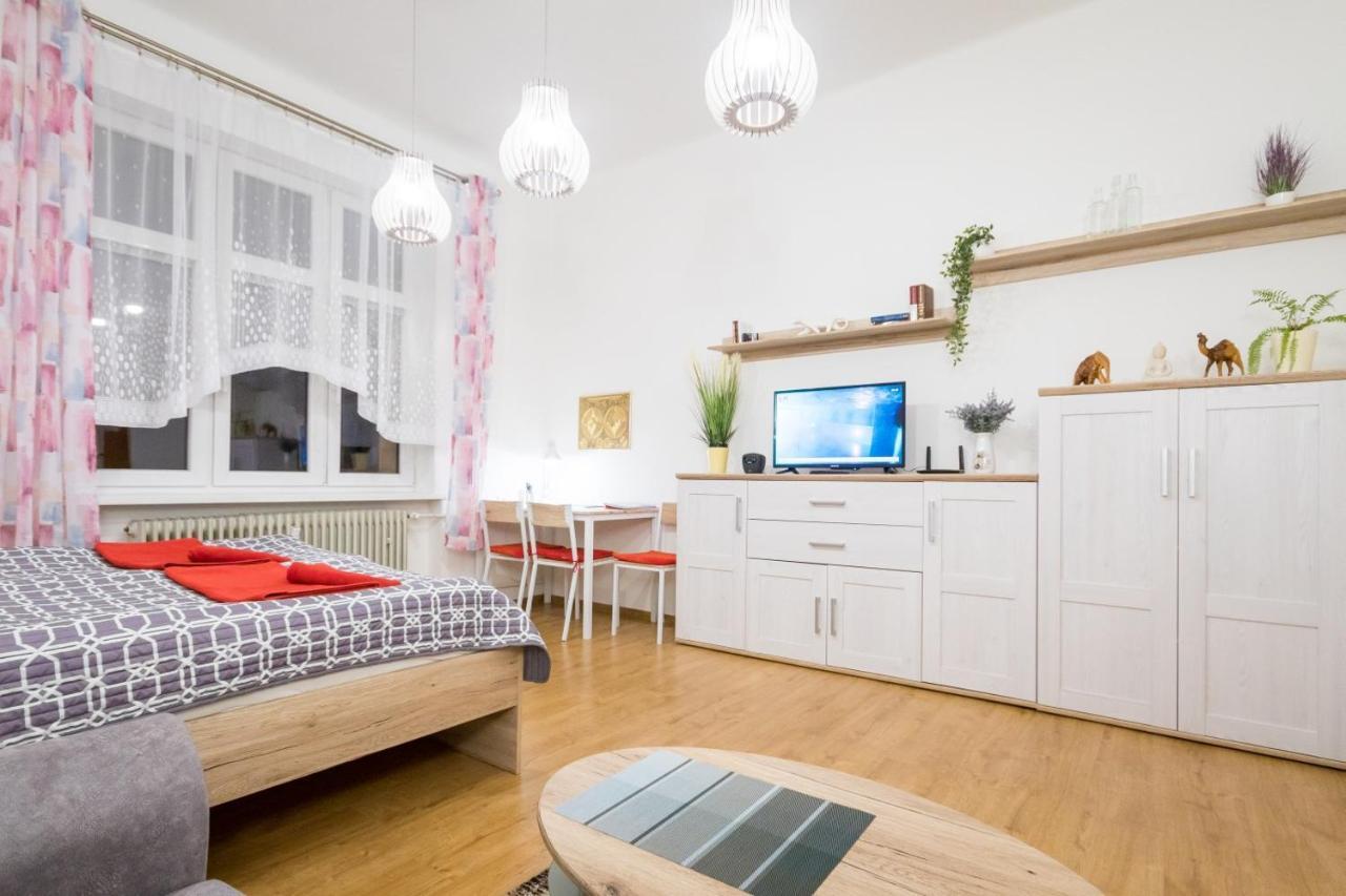 Utulny Druhy Domov V Srdci Ziliny Apartment Žilina Exterior foto